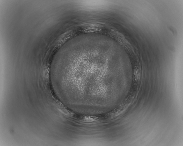 X0000111870753200908131611