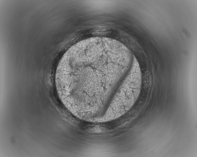 X0000111870755200908131611