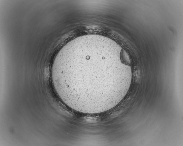 X0000111870756200908131611