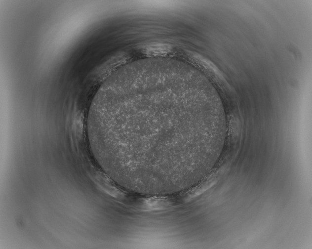 X0000111870761200908131611