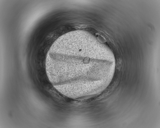 X0000111870763200908131612