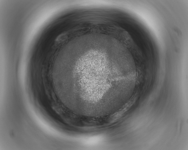 X0000111870765200908131612