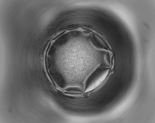 X0000111870766200908131612