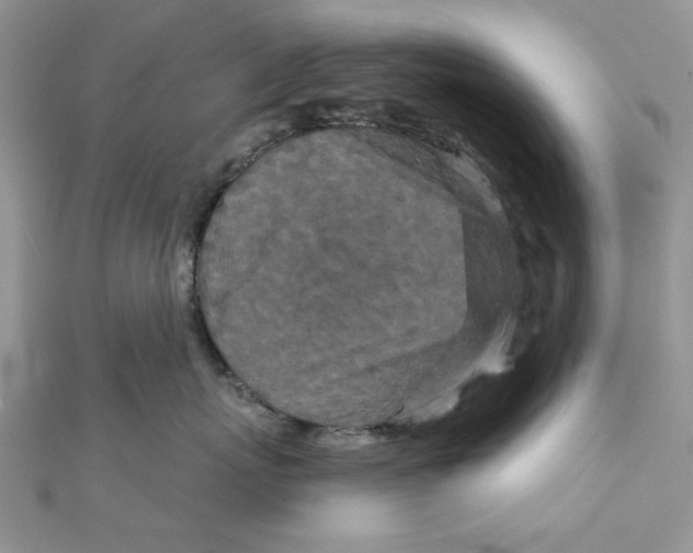 X0000111870767200908131612