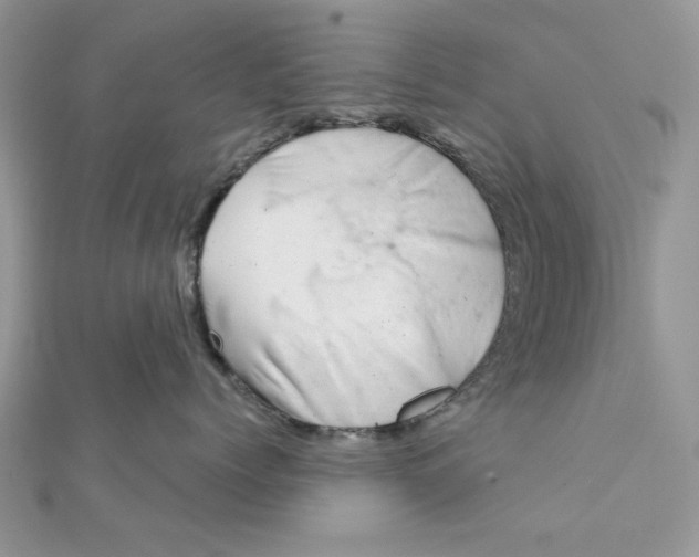 X0000111870768200908131612