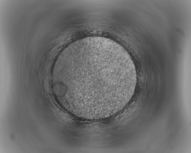 X0000111870769200908131611