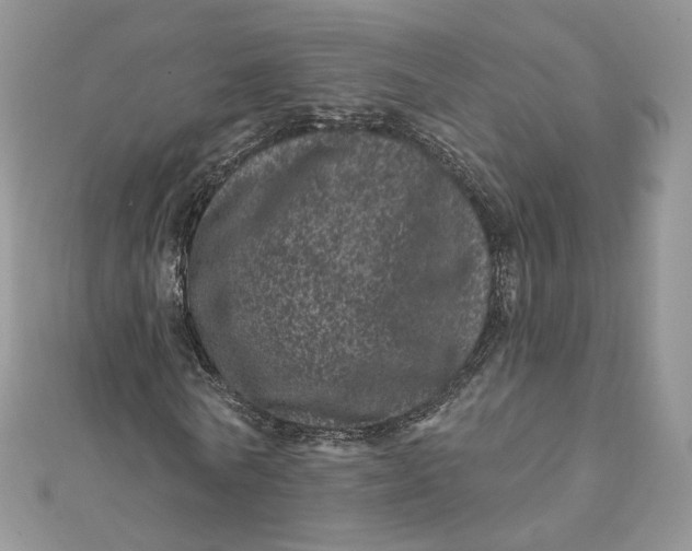 X0000111870770200908131611