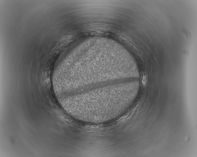 X0000111870771200908131611