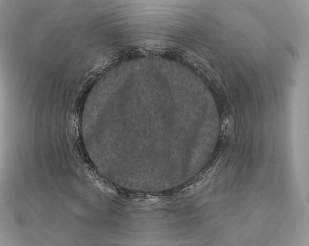 X0000111870772200908131611