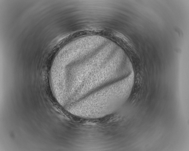 X0000111870773200908131611