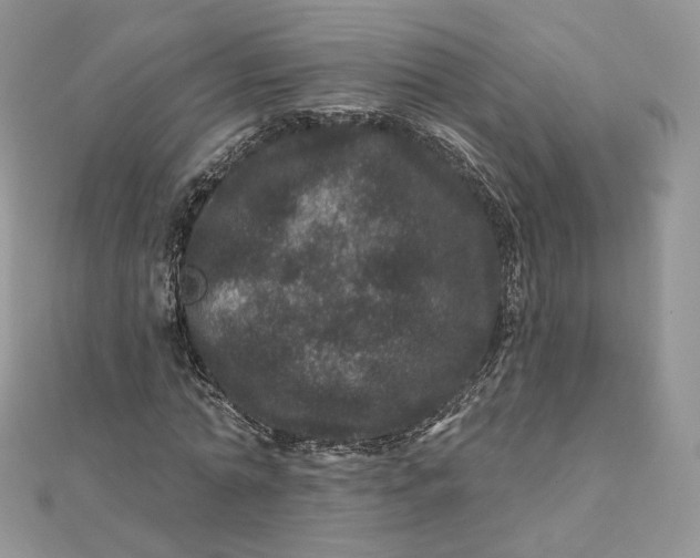 X0000111870774200908131611