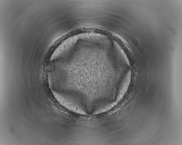 X0000111870775200908131611