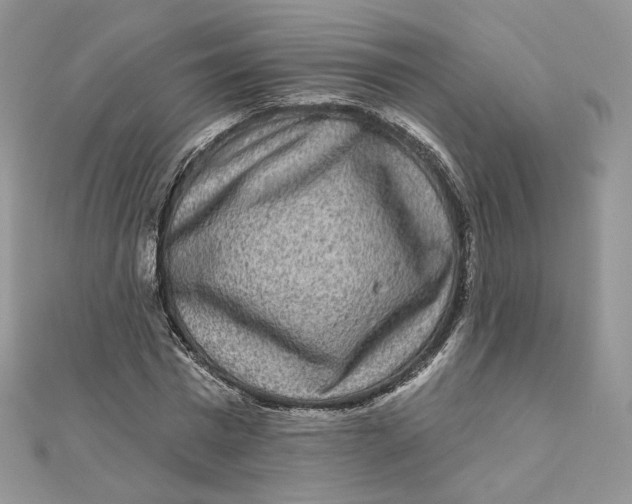 X0000111870777200908131611