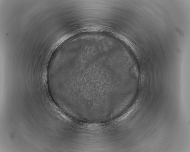 X0000111870778200908131611