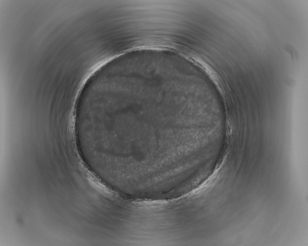 X0000111870779200908131611