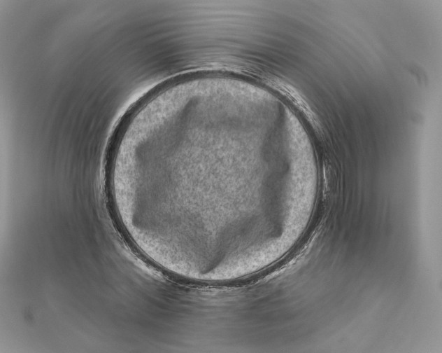 X0000111870780200908131611