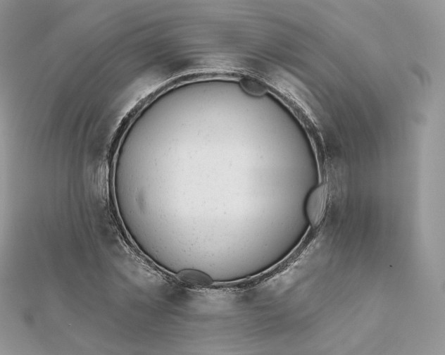 X0000111870781200908131611