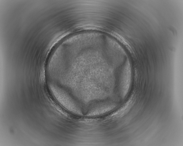 X0000111870782200908131611