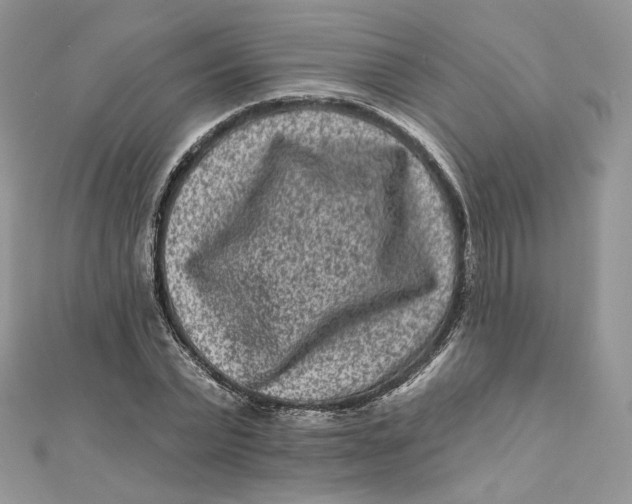 X0000111870783200908131611