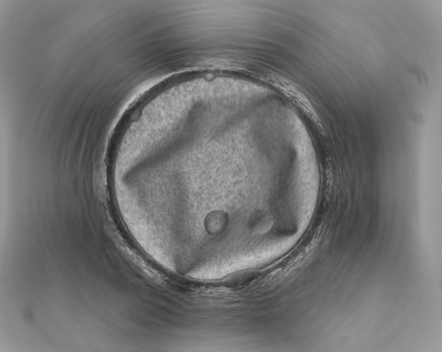 X0000111870784200908131611