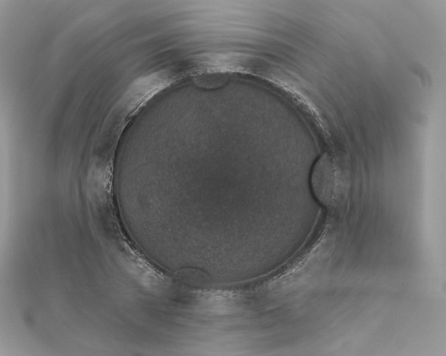 X0000111870785200908131611