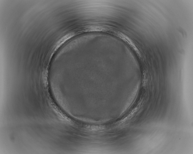 X0000111870786200908131611