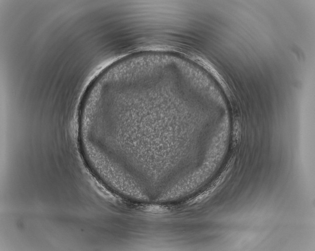 X0000111870787200908131611