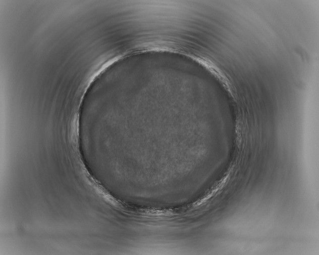 X0000111870790200908131611