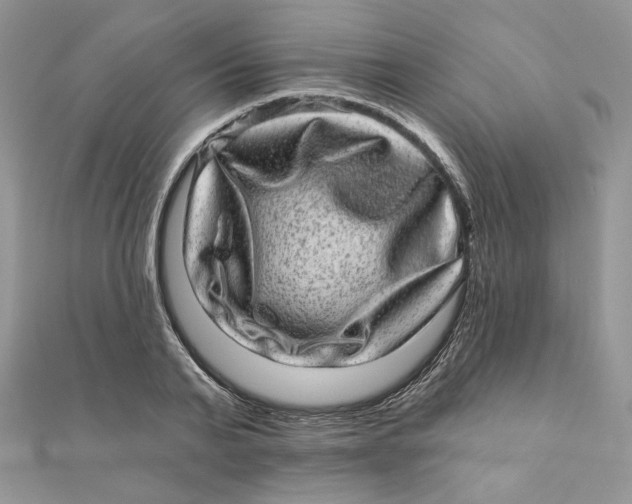 X0000111870791200908131611