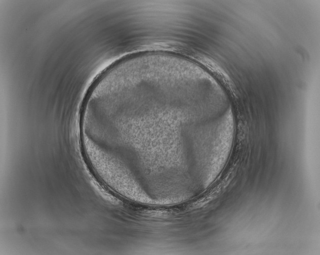 X0000111870792200908131611