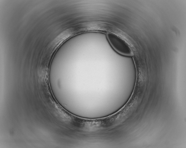 X0000111870793200908131611