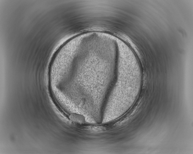 X0000111870795200908131611