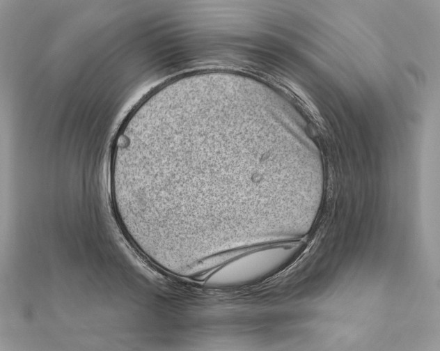 X0000111870796200908131611