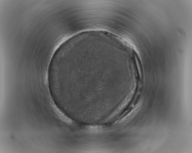 X0000111870797200908131611