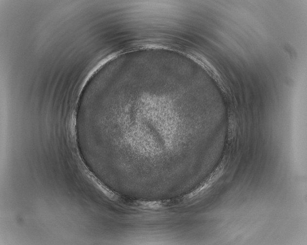 X0000111870798200908131611