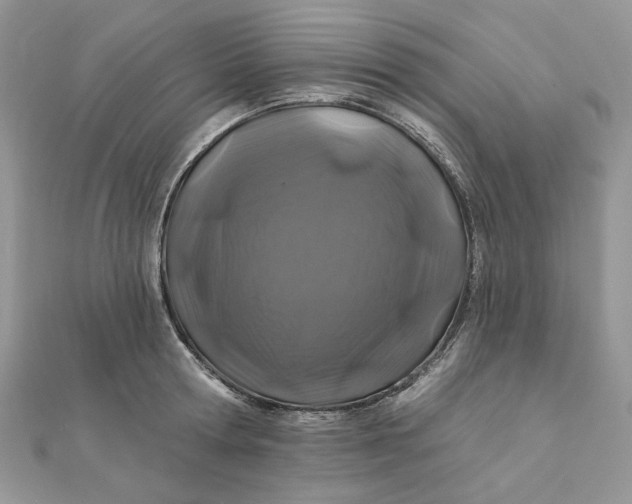 X0000111870802200908131610