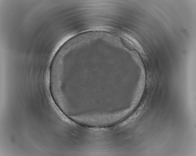 X0000111870804200908131610