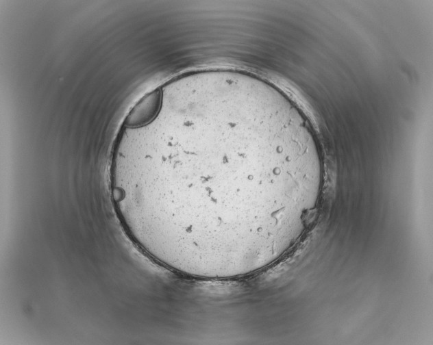 X0000111870805200908131610