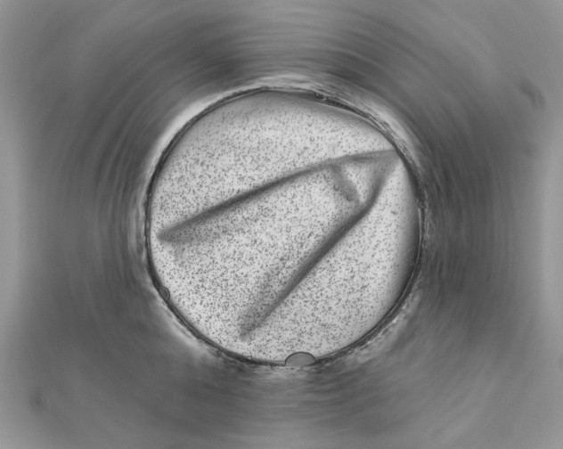 X0000111870808200908131610