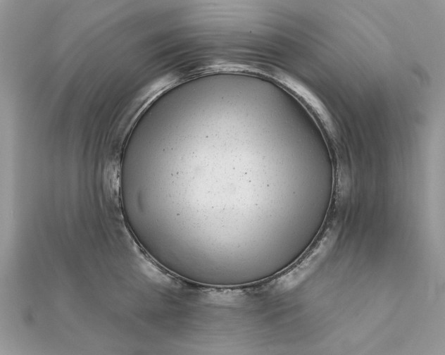 X0000111870809200908131610