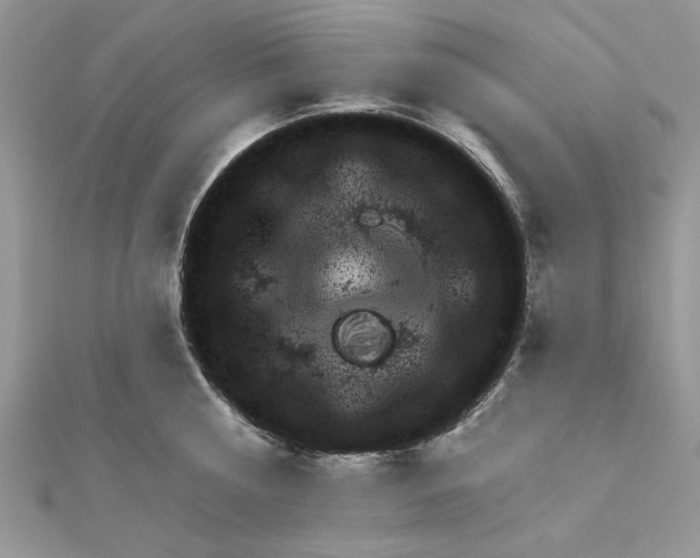 X0000111870810200908131610