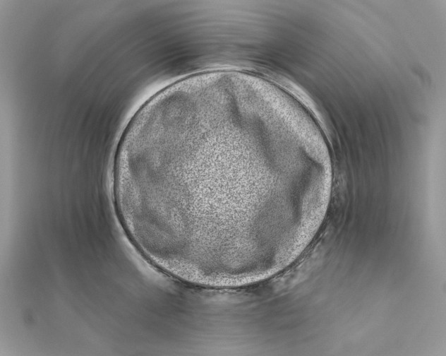 X0000111870811200908131610