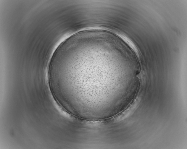 X0000111870813200908131610