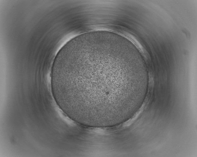 X0000111870814200908131610