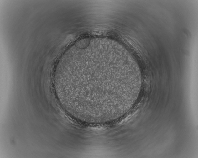 X0000111870817200908131610