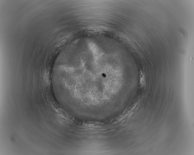 X0000111870819200908131610