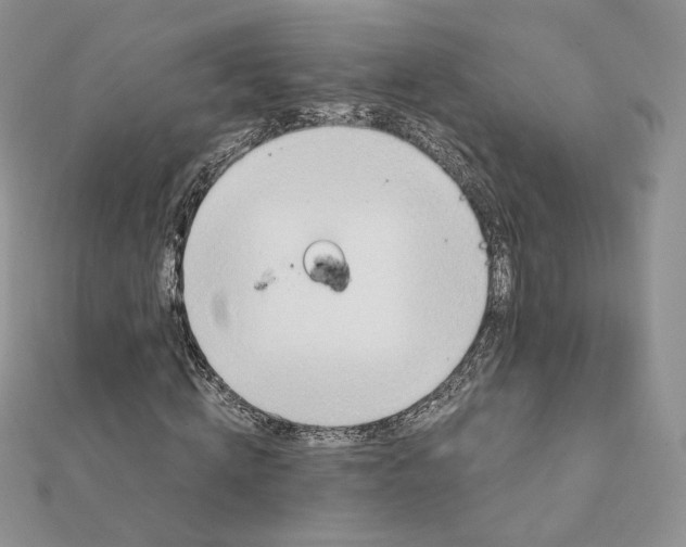 X0000111870820200908131610