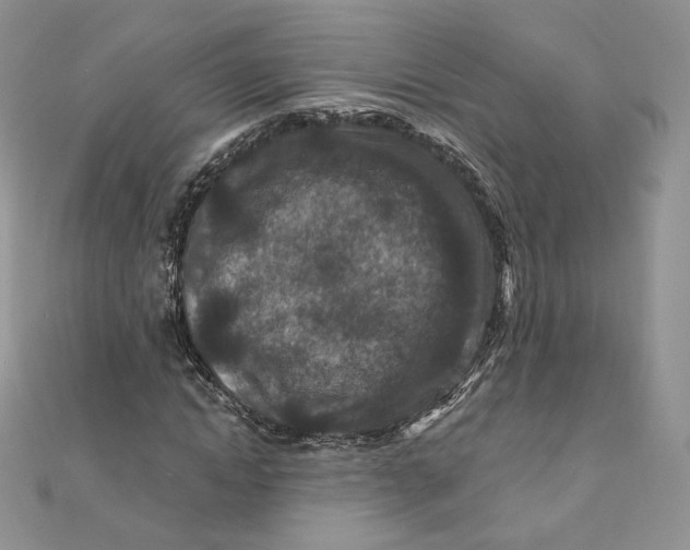 X0000111870822200908131610