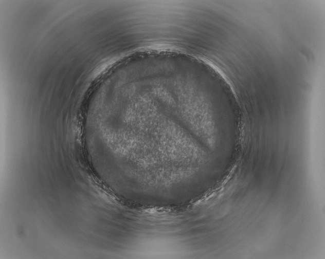 X0000111870823200908131610