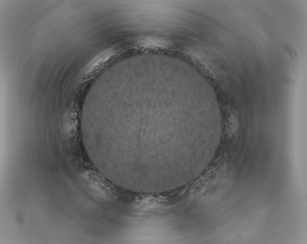 X0000111870824200908131610